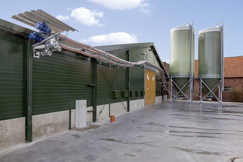 Вратарь национальной женской сборной открывает два птичника для откорма бройлеров