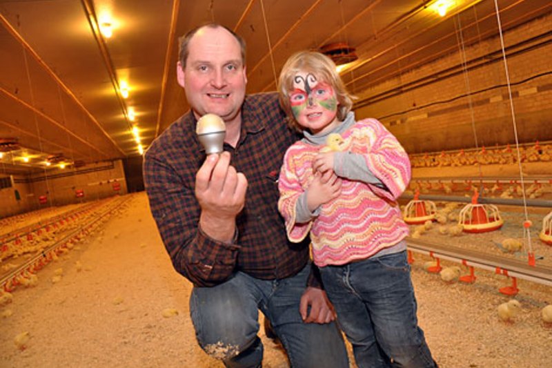 Новая СИД-технология в птицеводческом помещении Дирк Бокхорст установил в своем птичнике новые лампы СИД и инновационный регулятор интенсивности освещения