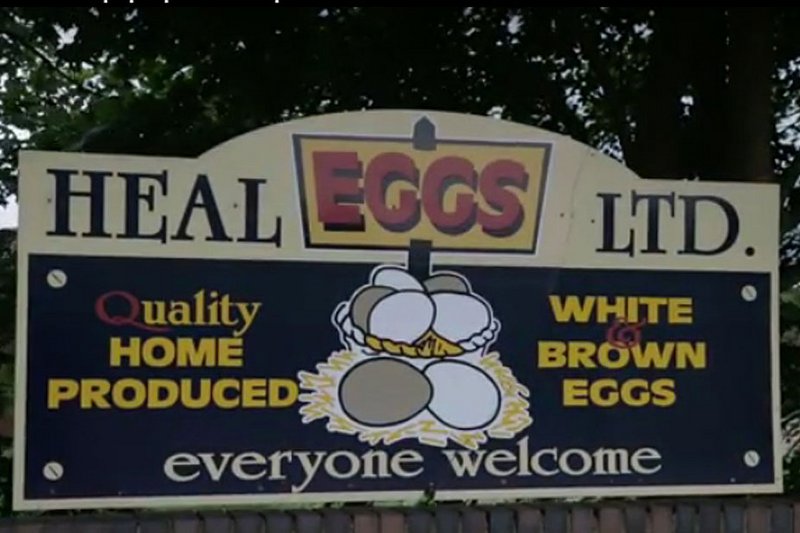Heal Farms wirbt mit seinen Eiern aus Volierenhaltung