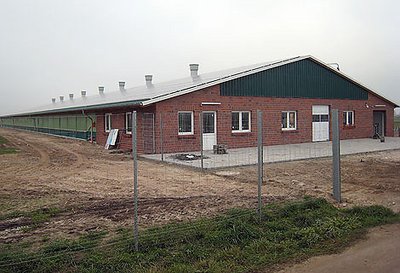Nouveau poulailler pour l’élevage en plein air : un bâtiment volière dans l’arrondissement de Wittmund en Allemagne