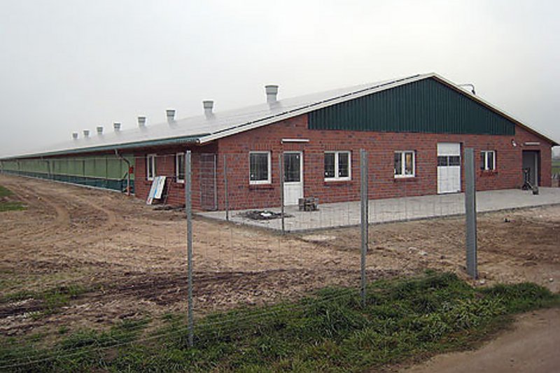 Nouveau poulailler pour l’élevage en plein air : un bâtiment volière dans l’arrondissement de Wittmund en Allemagne