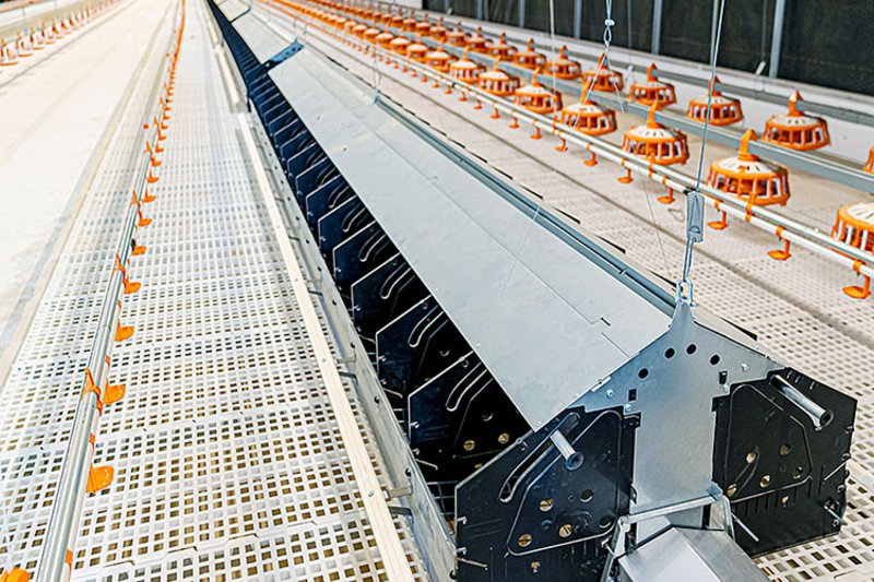 Гнездо NXB для кур-несушек