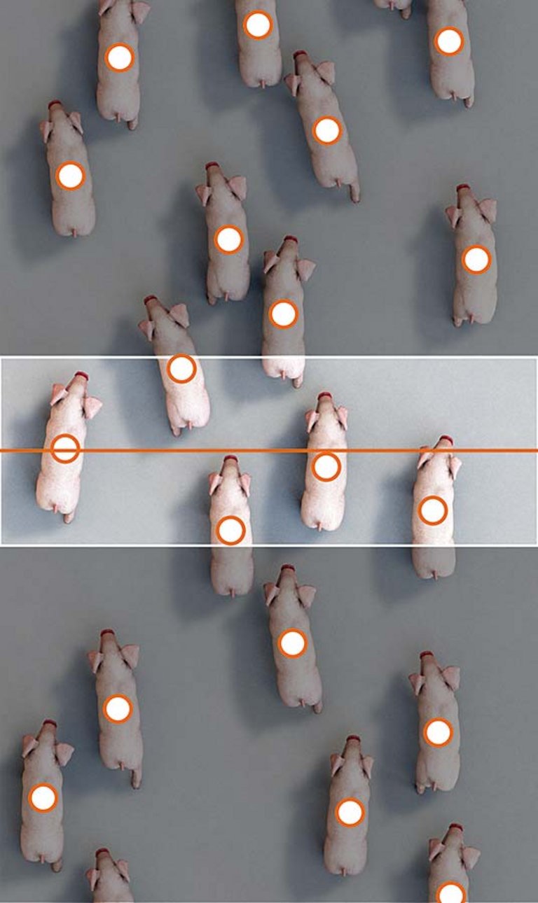 SmartCounting SmartCounting