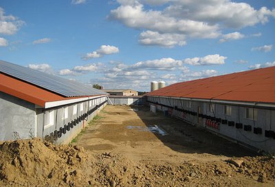 Dos impresionantes edificios nuevos con instalaciones avícolas para el manejo de reproductoras de Big Dutchman.