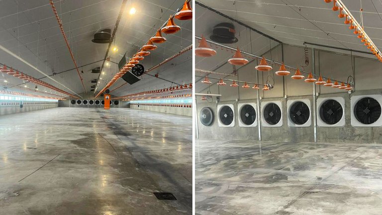 Гигиеничное содержание бройлеров: На время проведения чистки чашечные кормушки и линии поения можно поднять вверх. Гигиеничное содержание бройлеров: На время проведения чистки чашечные кормушки и линии поения можно поднять вверх.