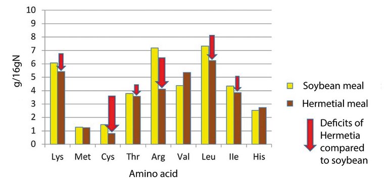 Figure 1 : Comparaison des teneurs en acides aminés (gAS/16gN) du tourteau d'extraction de soja et de la farine d'insectes Hermetia illucens. (Source : S. Velten, F. Liebert)