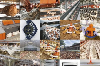 Оборудование и кормовые системы Оборудование и кормовые системы