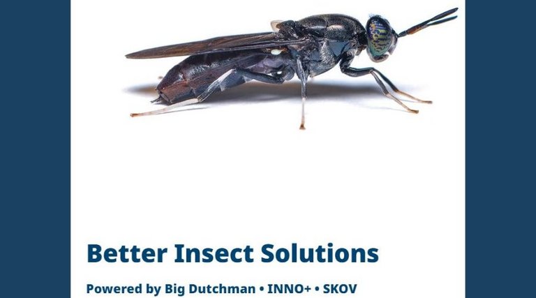Insektenzucht | Better Insect Solutions