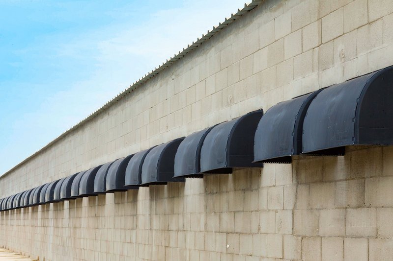 Фокус на птичнике, мысли о портфолио – чтобы в итоге было все согласовано 