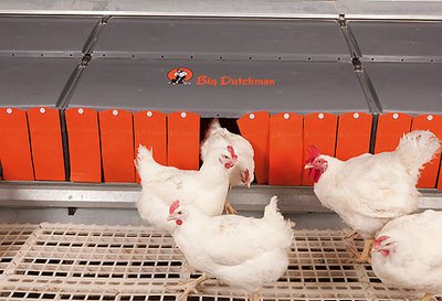 Innovative systems for breeder management / broiler cage AviMax transit