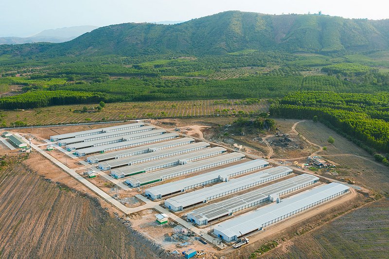 Вид с высоты птичьего полета: ферма для содержания родительского стада бройлеров 