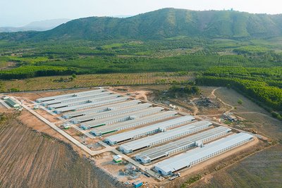 Вид с высоты птичьего полета: ферма для содержания родительского стада бройлеров Вид с высоты птичьего полета: ферма для содержания родительского стада бройлеров