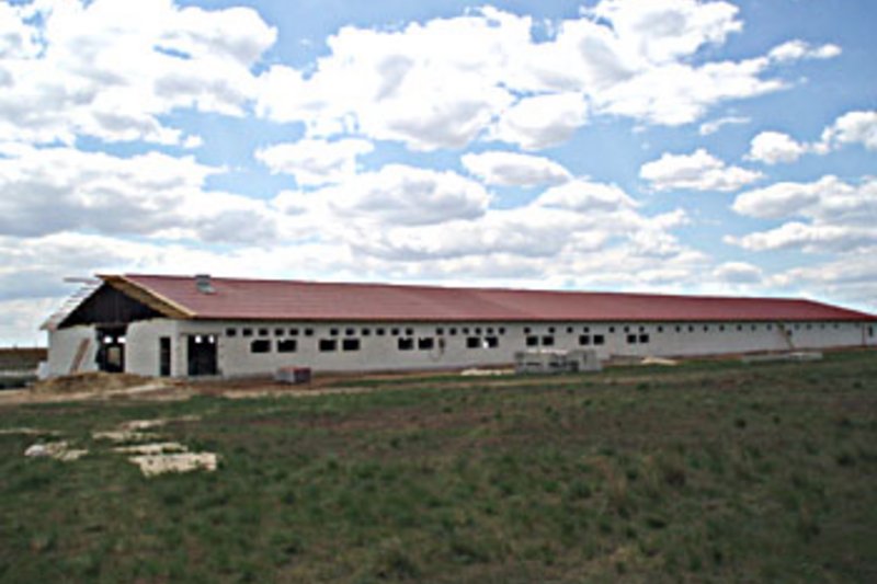 BD оснащает оборудованием небольшие свинофермы BD оснащает оборудованием небольшие свинофермы