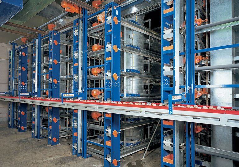 Сбор яйца при помощи лифта 