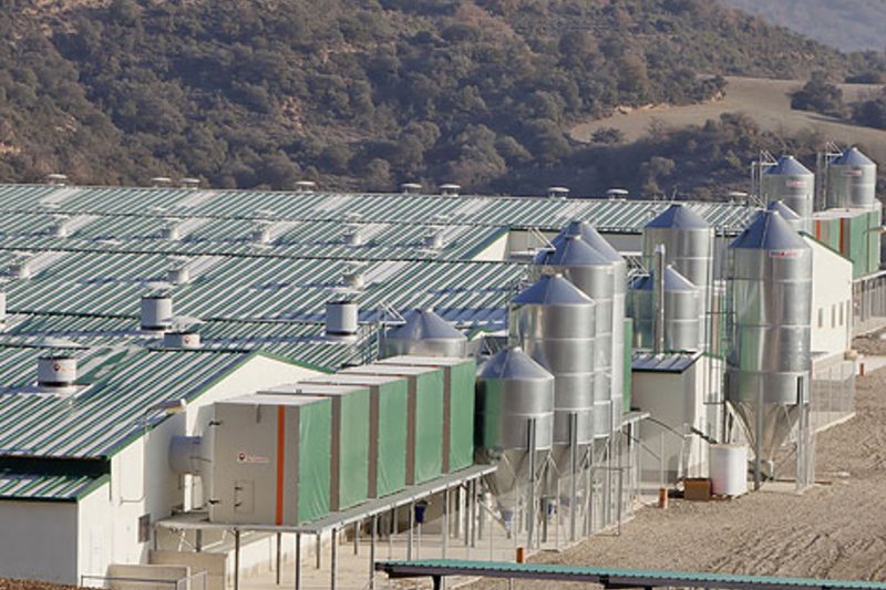 Unidades de filtración AirProTec instaladas en una granja de cría en España