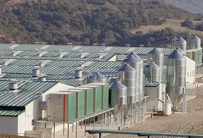 Unités de filtration AirProTec installées dans une ferme d'élevage en Espagne