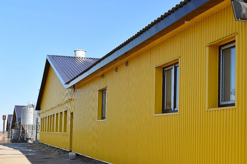 Сайт Агрохолдинг «ДолговГрупп»)