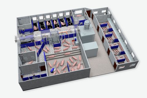 Концептуальный эскиз свинофермы 2030