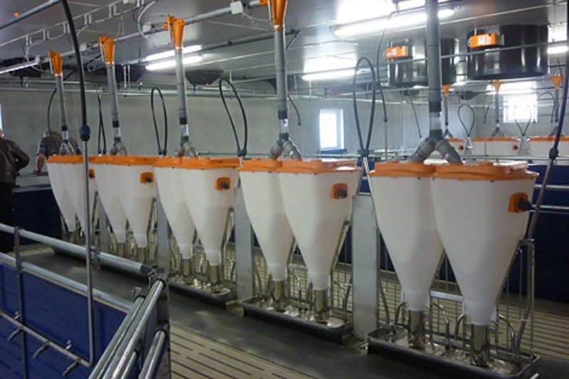 Откормочник от одного производителя