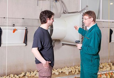Un bâtiment d’engraissement de poulets de chair équipé pour des températures optimales