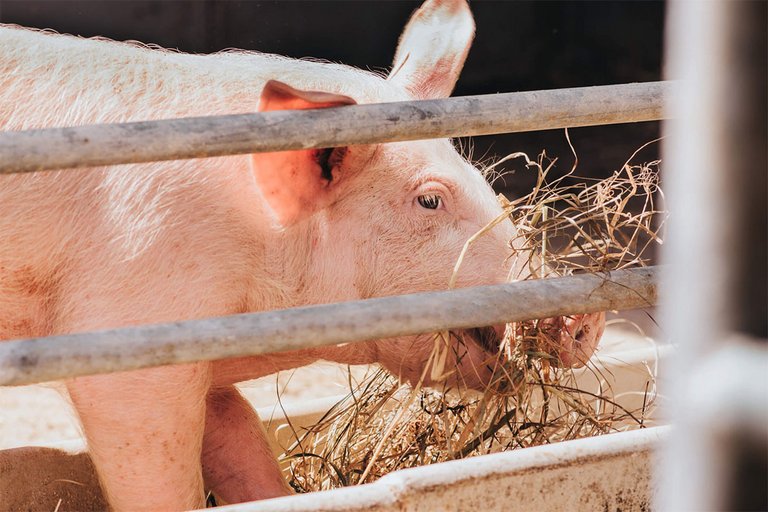 [Translate to Russian:] 