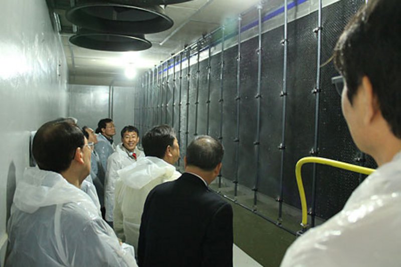 Свиноводство в Южной Корее