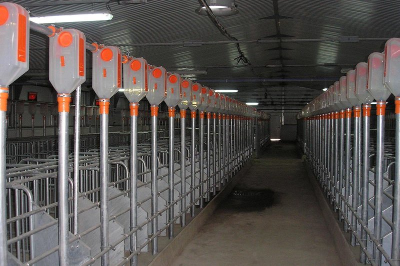 Снимок: п. Тургенево комплекс Снимок: п. Тургенево комплекс