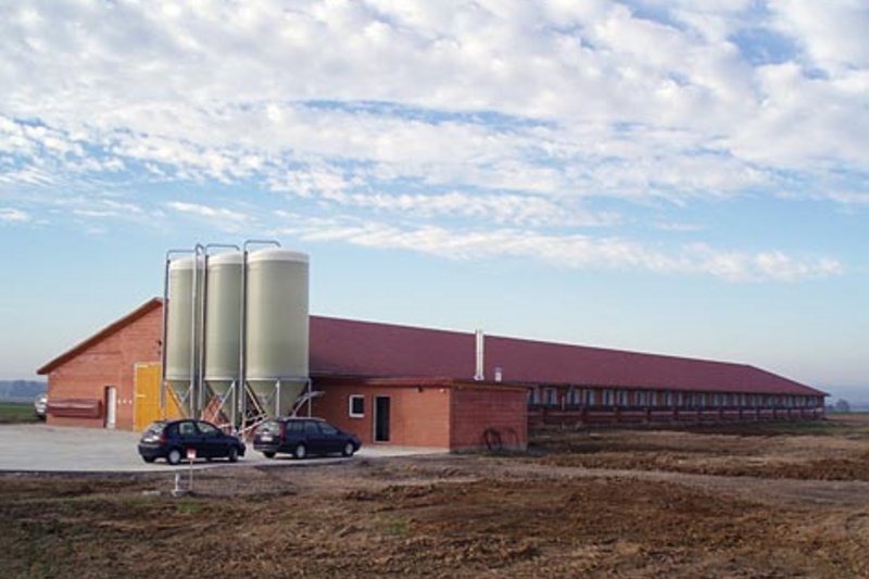 Новый птичник с современным оборудованием от Big Dutchman