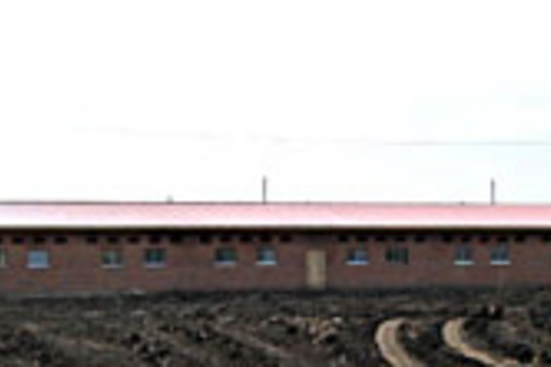 BD оснащает оборудованием небольшие свинофермы BD оснащает оборудованием небольшие свинофермы