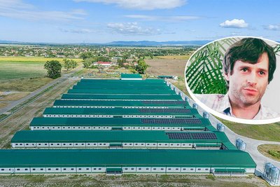 Мате Конц, коммерческий директор Szentistváni Mezőgazdasági Zrt., ответственный за крупный проект в Сентиштване Общий вид с портретом Мате Конца