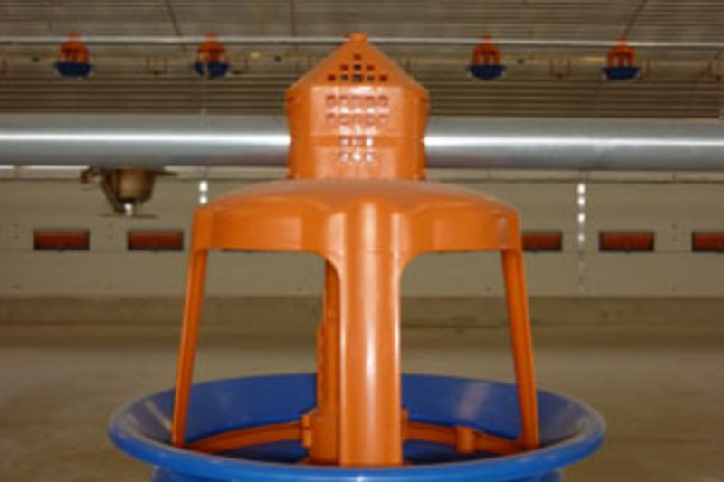 Наплыв посетителей в связи с открытием двух новых птичников