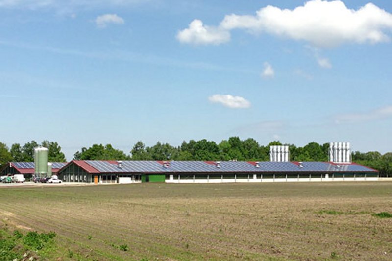 Poultry house with equipment for breeder management