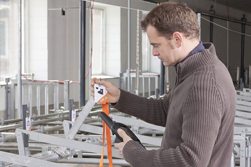 Незаменимый помощник при содержании свиноматок