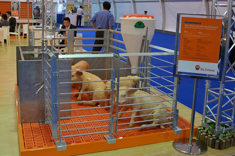 Stalleinrichtungen für die Schweinemast