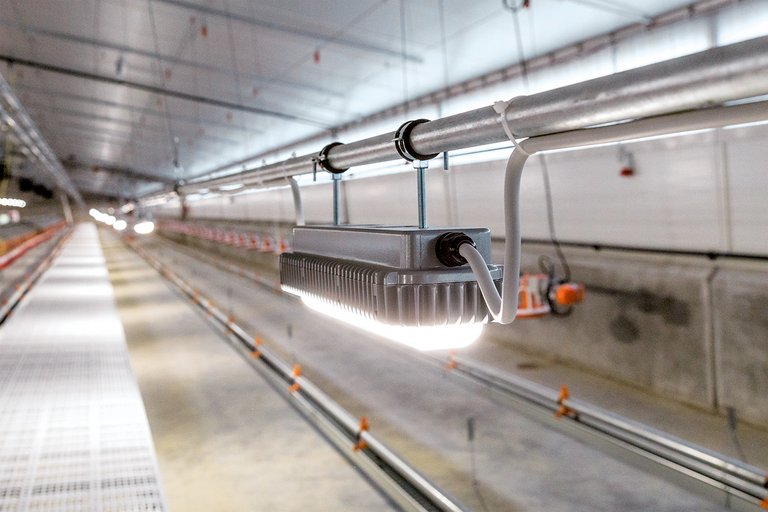 [Translate to Russian:] 