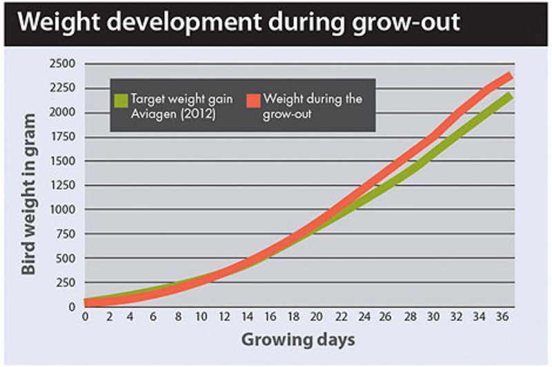 Рост производства и здоровые лапки Рост производства и здоровые лапки