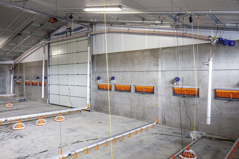 FlexVeyPUR: новая система транспортировки корма в птичники