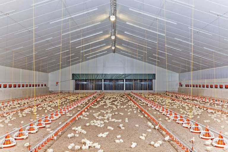 Очиститель отработанного воздуха StuffNix 