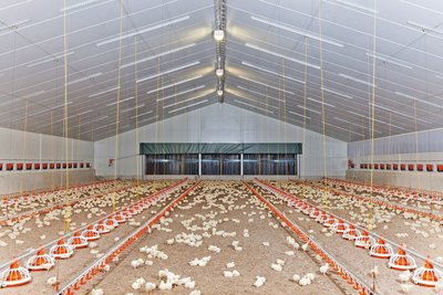 Очиститель отработанного воздуха StuffNix 