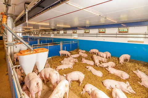 PureLine | Xaletto straw bedding system
