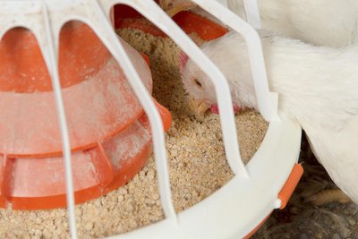 Kopмyшкa FLUXX 360 Kopмyшкa FLUXX 360