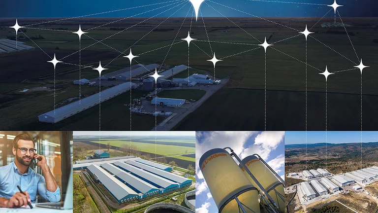 Digitale Steuerung auf einen Blick: Die Plattform BFN Fusion vernetzt alle Betriebsdaten – auch standortübergreifend Collage mit Symbolbildern zur digitalen Stalltechnik