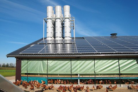 Poultry climate control