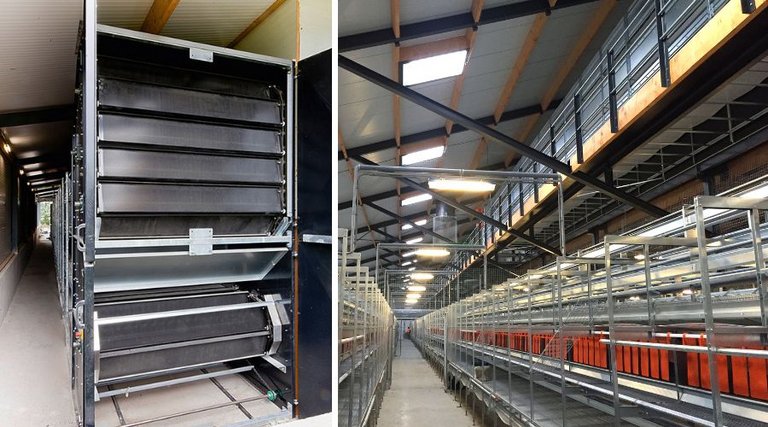 (Сл.) туннель для сушки помета в чердачном помещении птичника с вольерным содержанием | (Спр.)  размещенная в зоне фронтона площадки для кур-несушек сушильная установка пластинчатого типа 