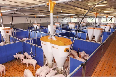 Кормоавтомат PigNic Jumbo Кормоавтомат PigNic Jumbo