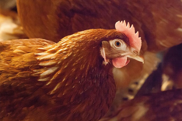 [Translate to Russian:] 