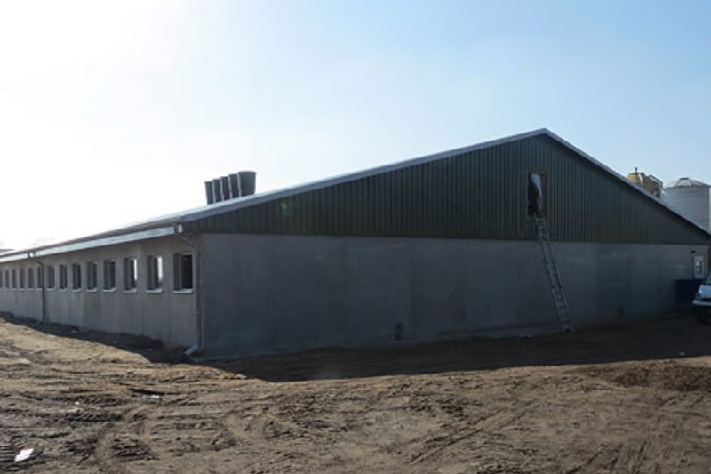 Новый корпус для доращивания поросят с современным оборудованием и системами сухого кормления и регулировки микроклимата