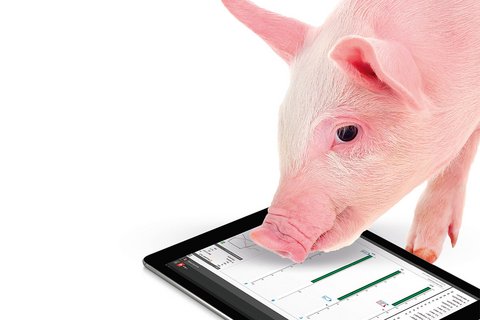 Система менеджмента и управления BigFarmNet