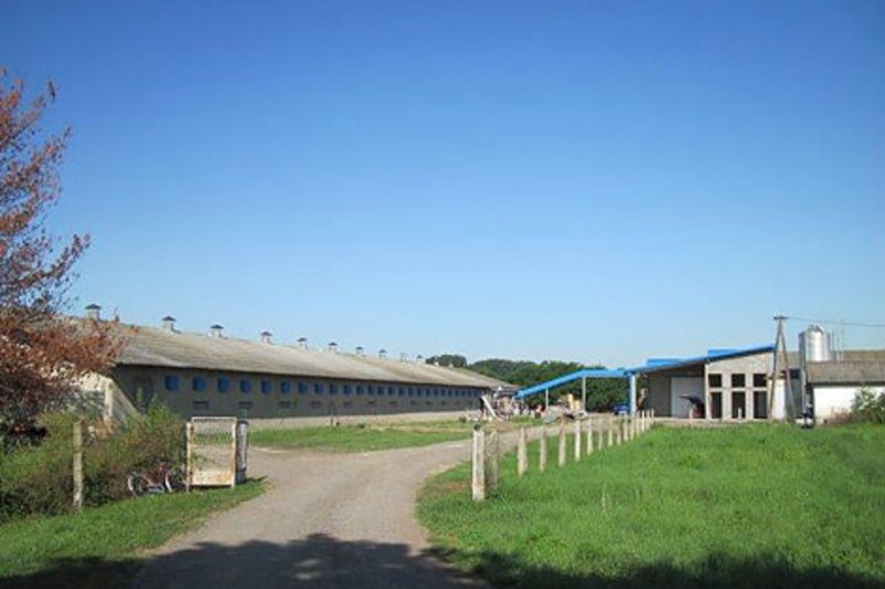 En la granja de Karađorđevo cuatro naves han sido equipadas con las instalaciones avícolas de Big Dutchman