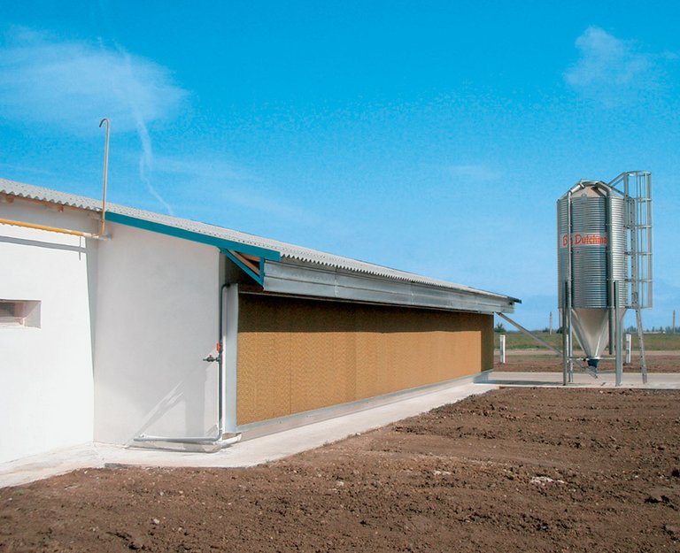 PadCooling – оптимальный микроклимат в свиноводческих помещениях 